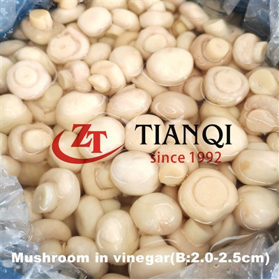 ขายส่งเห็ดในน้ำส้มสายชูในถัง