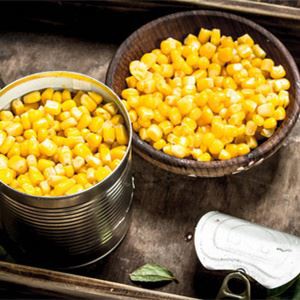China Origin Canned Sweet Corn