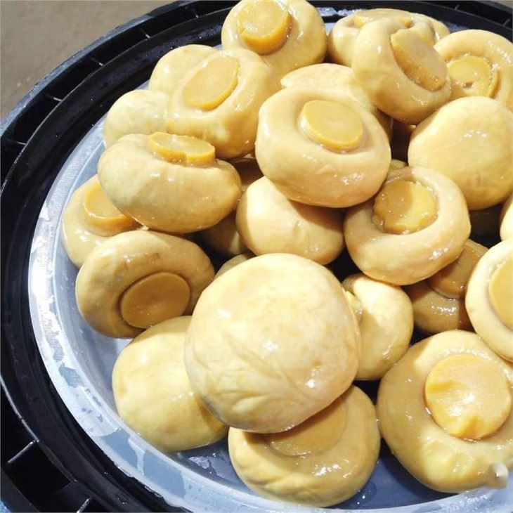 Whole Button Mushroom In Drums 